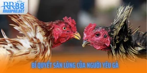 Bi Quyet San Lung Cua Nguoi Yeu Ga