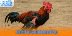 Bi Quyet Tao Ra Chien Binh Bat Bai